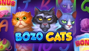 Bozo Cats