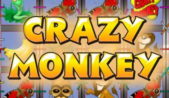 Crazy Monkey