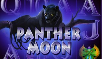 Panther Moon