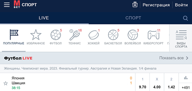 Веб-клиент для мобильных устройств