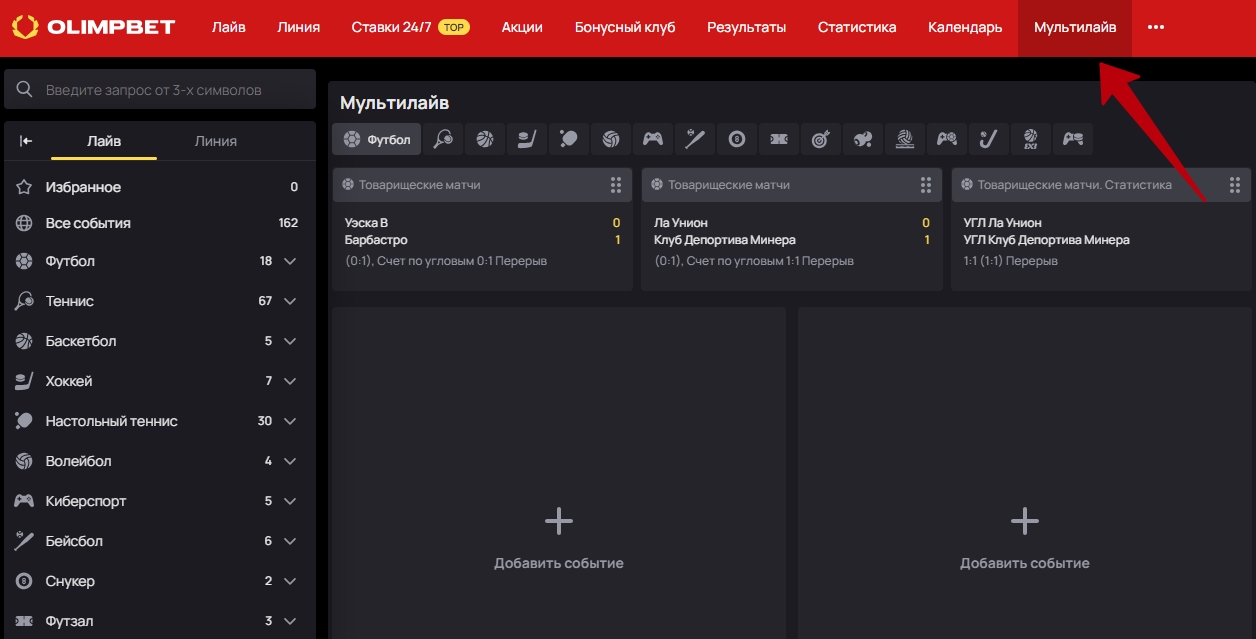 Мультилайв