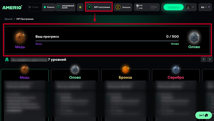 Страница системы лояльности