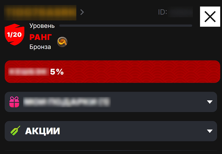 Просмотр VIP-статуса в Личном кабинете