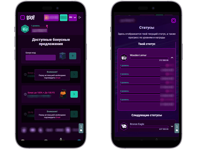 Бонусная программа