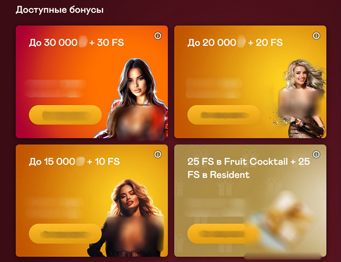 Бонусная программа