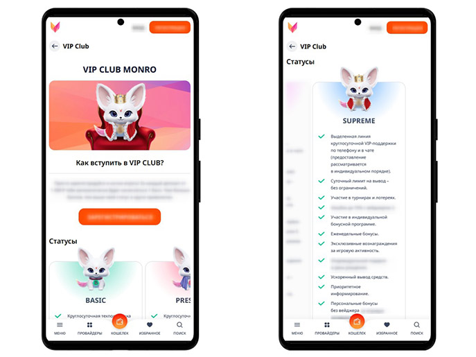 VIP программа