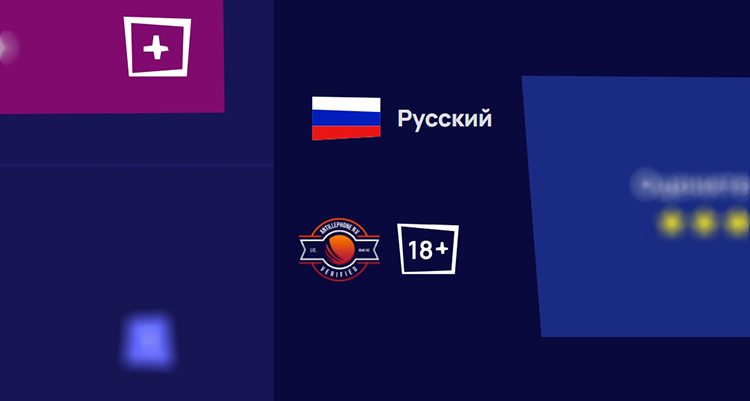 Проверка разрешительного документа виртуального казино