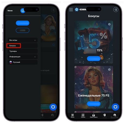 Раздел с бонусами