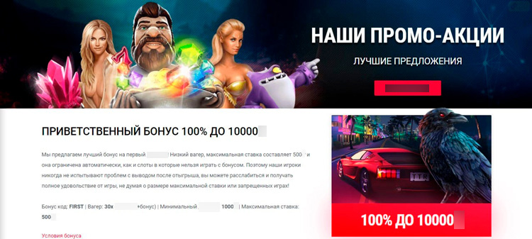 Специальные предложения