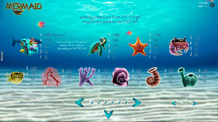 Игровые символы слота