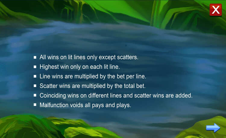 Правила видеослота