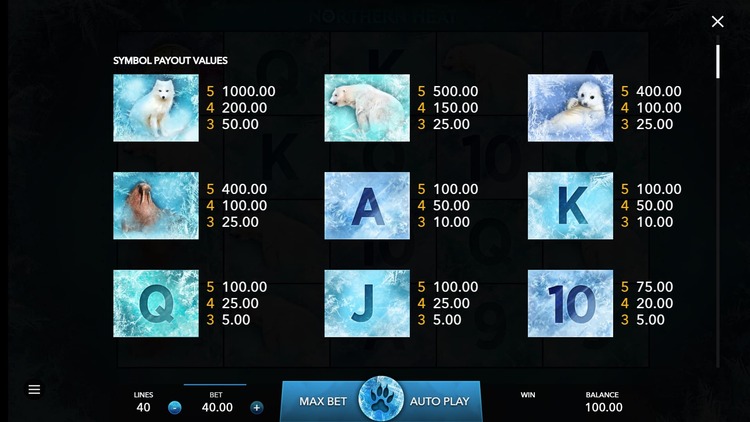 Игровые символы слота