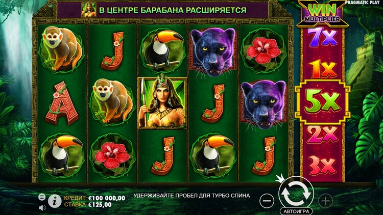 Игровое поле