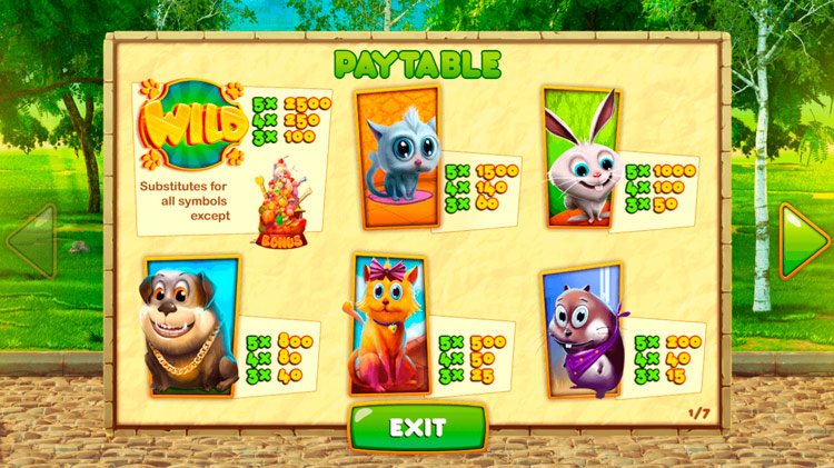 Игровые символы слота