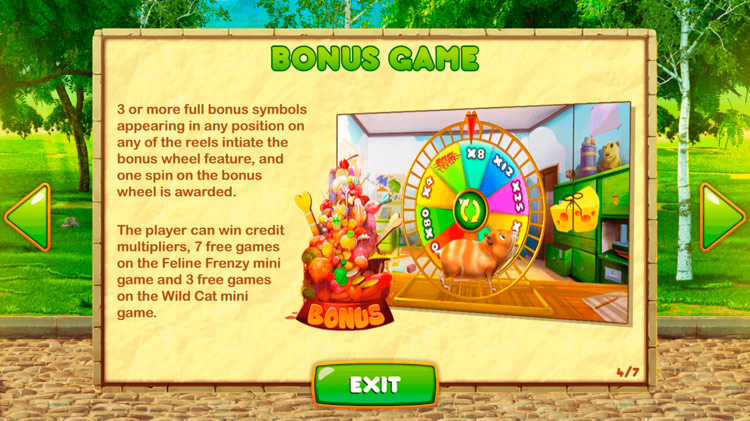 Бонусная игра