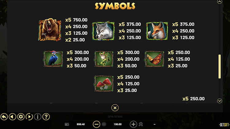 Игровые символы слота