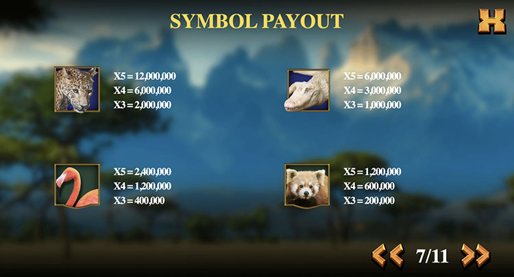 Выплаты в автомате