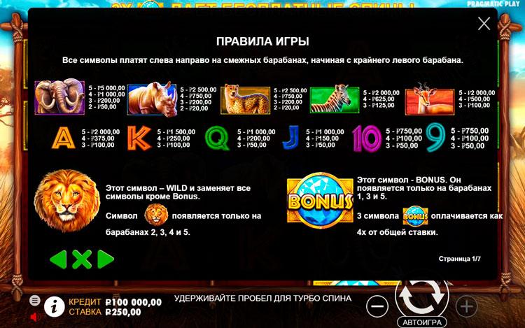 Игровые символы слота