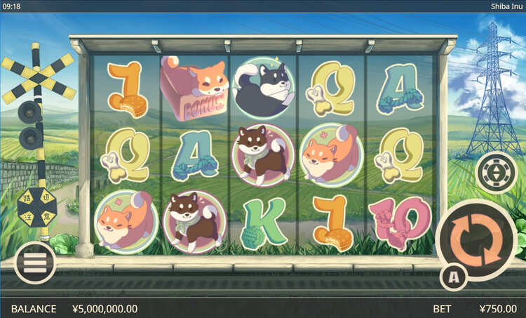 Заставка видеослота