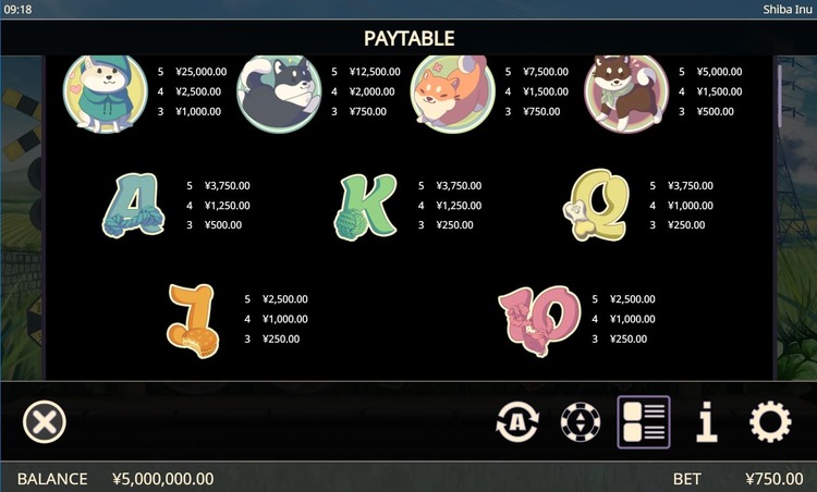 Игровые символы автомата