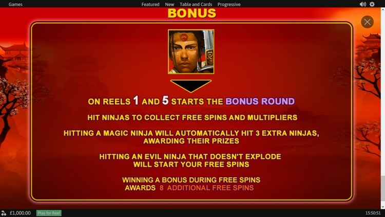 Бонусная игра