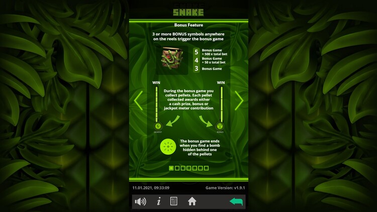 Бонусная игра