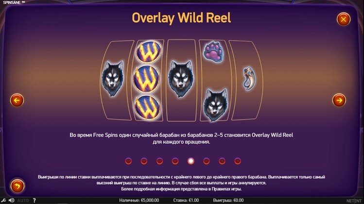 Игровые символы слота