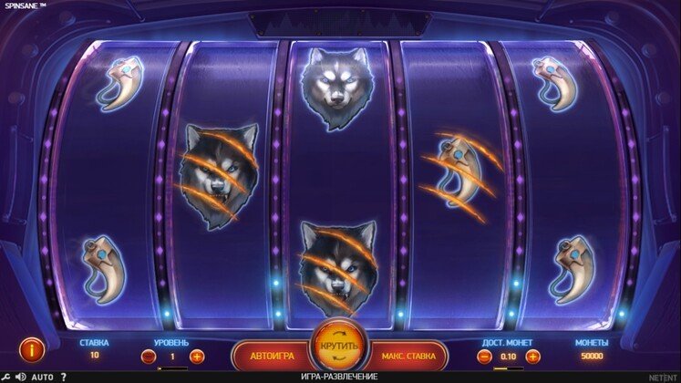 Игровое поле