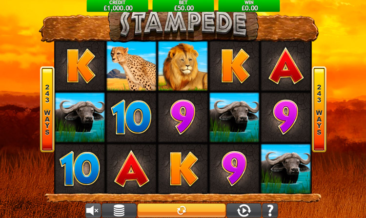 Игровое поле