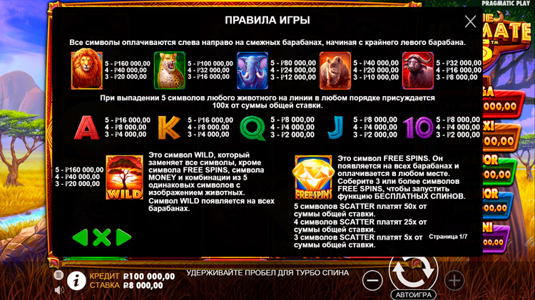 Таблица выплат