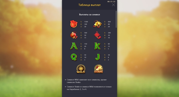 Таблица выплат