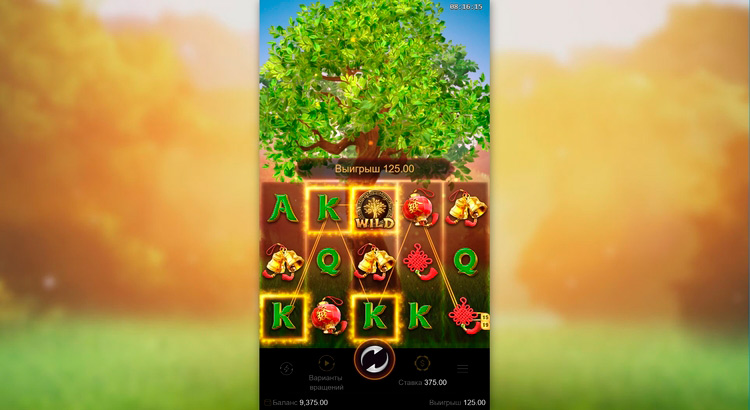 Выигрышная линия