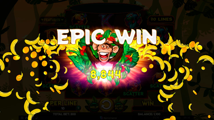 Большой выигрыш