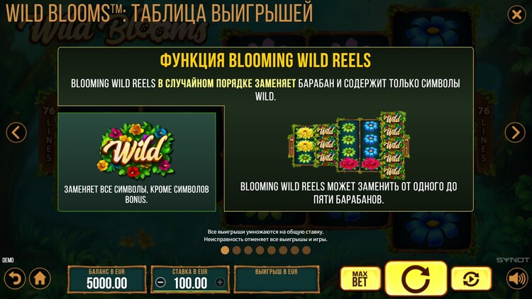 Игровые символы видеослота