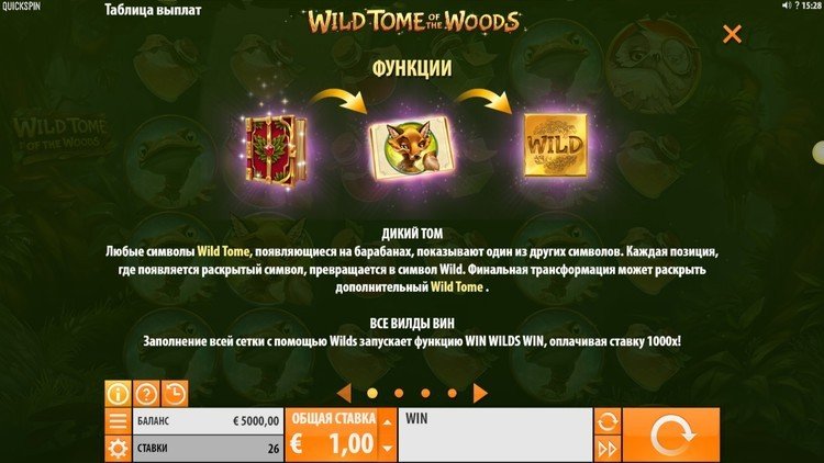 Игровые символы слота