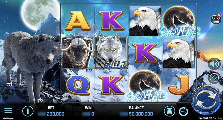 Игровое поле