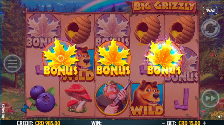 Выигрышная комбинация Big Grizzly