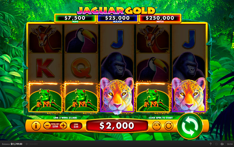 Выигрыш в слоте Jaguar Gold