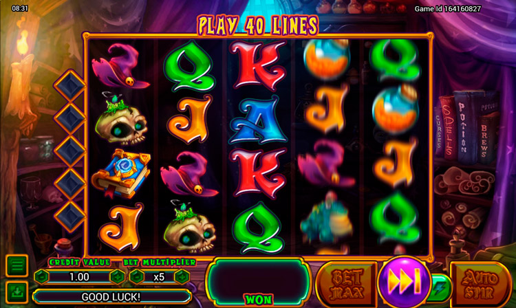 Геймплей Wild Wild Witch